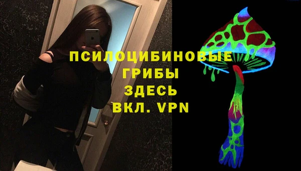 винт Аркадак