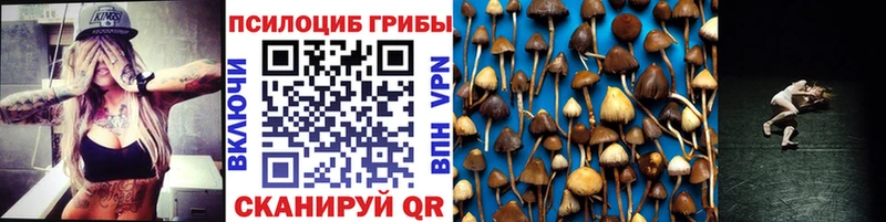 Псилоцибиновые грибы MAGIC MUSHROOMS  купить наркотики цена  Пучеж 